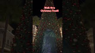 Never seen before in The Villages A Walk thru Christmas Tree foryou foryourpage christmas [upl. by Anitram]