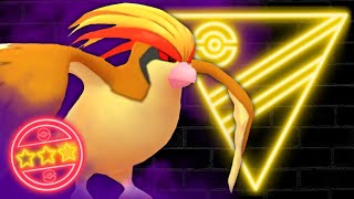 Ultra Rare SHADOW HUNDO PIDGEOT hits hard in the Ultra League  Pokémon GO Battle League [upl. by Barrow193]