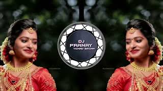 koyata dhemsa gondi song tapori mix dj pranay yerad [upl. by Fenner]