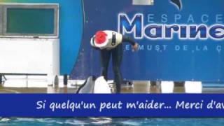 Chanson Marineland [upl. by Mloclam]