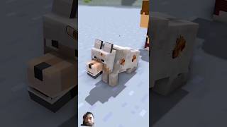 Zombies do not give Dogs food and The Ends 🤔 shorts minecraft minecraftanimationviralvideo [upl. by Anelrad38]