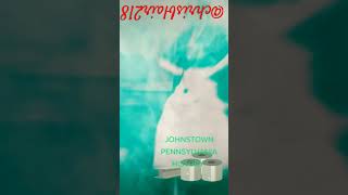 JOHNSTOWN PENNSYLVANIA HISTORY chrisblair viral fyptiktok viralshort [upl. by Yanttirb130]