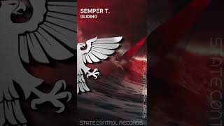 📢 Trance Semper T  Gliding shorts trance statecontrolrecords edm [upl. by Whitehurst]