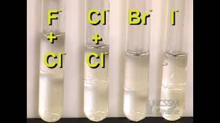 Halogens Displacement Reactions [upl. by Tahmosh591]