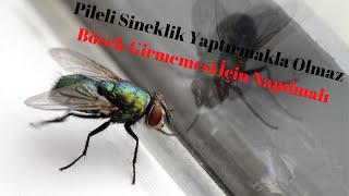 PİLELİ SİNEKLİKTEN🪰🦟 BÖCEK  SİNEK GİRİYORSA ÇARESİ NEDİR [upl. by Curtis]