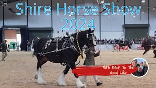 Shire Horse Show 2024 [upl. by Alyakem]