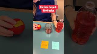 Cardiac Output Basics [upl. by Annabel]