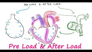 Preload amp Afterload [upl. by Seugirdor]