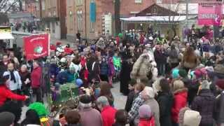 Rosenmontagsumzug 2015 in Böblingen [upl. by Cull]