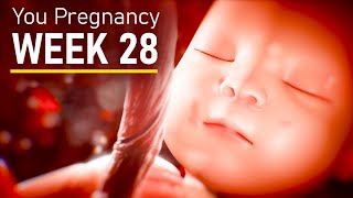 28 Weeks Pregnant Pregnancy week 28 fetal development [upl. by Brittni]