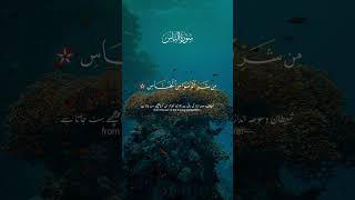 SURAH NAAS tilawat tilawatequran quranrecitation islamicstatus islam quran allah naat [upl. by Yornoc]