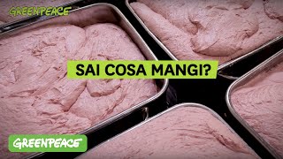 Sai cosa mangi [upl. by Miett]