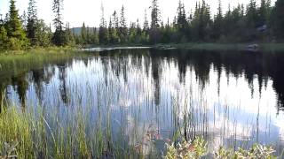 Fjällnära fiske i Jämtland [upl. by Narot]