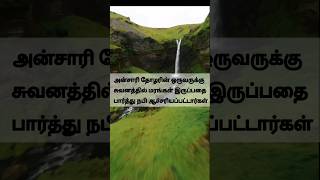 சொர்க்கத்தில் இவ்வளவு மரங்களா [upl. by Hathcock]