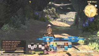 Final Fantasy XIV A Realm Reborn  Thaumaturge Hunting Log Rank 3 [upl. by Merril]