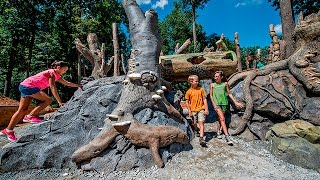 Wildwoods and Fernbank Forest at Fernbank Museum of Natural History [upl. by Noneek404]