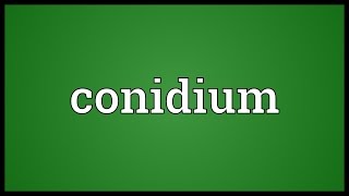 Conidium Meaning [upl. by Edasalof]