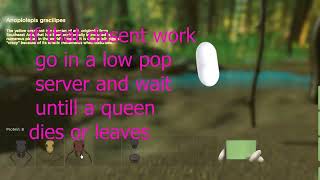 ROBLOX how to become a queen in ant life tutorial [upl. by Legra421]