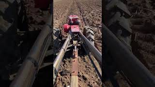 Raking Rice Field By Hand Tractor Kubota kubota yamaha fyp videoshort [upl. by Ahsauqram]