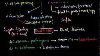 Bacterial food poisoning [upl. by Aramaj636]