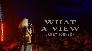 Jamey Johnson  Trudy feat Randy Houser Visualizer [upl. by Gilges]