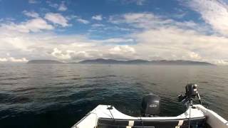 Visit Inishowen Donegal  Lough Swilly Orcas Sighting [upl. by Zinnes]