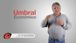 ¿Qué es el umbral económico  Factor MAP [upl. by Imaj]