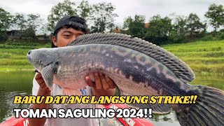 BARU DATANG LANGSUNG DAPAT TOMAN YANG LUMAYAN BESAR‼️ MANCING TOMAN TERBARU 2024‼️ [upl. by Iturk]