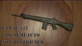 FAMAE SG542 308 SemiAuto Chilean Rifle Hands On aka quotSig SG 540quot [upl. by Aline]