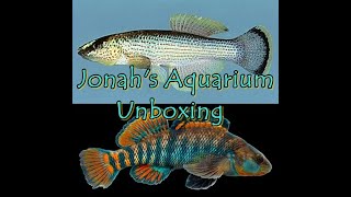 Jonahs Aquarium Unboxing [upl. by Wilmott]