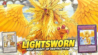 Deck Lightsworn Post Legacy of Destruction EDOPRO  Replays 🎮  Decklist ✔️ [upl. by Lowry]