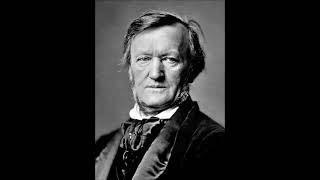 Richard Wagner Rienzi  overture tuba excerpts [upl. by Eninnaj110]