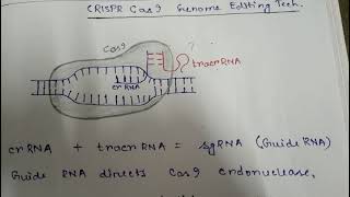 CRISPR Cas9 Gene editing system HDR NHEJ  Part 2 [upl. by Anyer812]