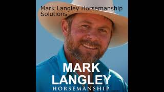 A look into 2 horsemanship approaches ”Keep them busy”  Feel [upl. by Talley]