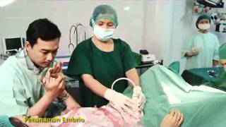 Bayi Tabung Part2mp4 [upl. by Liatris]