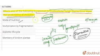 Which one of the following is common to multicellular fungi filamentous algae and protonema of [upl. by Bouton]