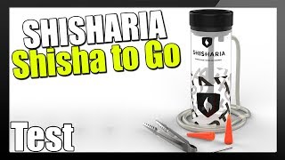 🏃 SHISHA TO GO 🏃  Shisharia Polluxe im Test [upl. by Suisyola597]