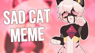 SAD CAT DANCE  MEME [upl. by Laurena]