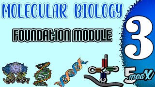 Molecular biology foundation module  lecture 3 [upl. by Ramar]