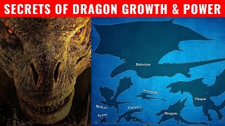 What Makes a Dragon Powerful  Secrets of Dragon Growth and Power Explained  House of the Dragon [upl. by Hefter]