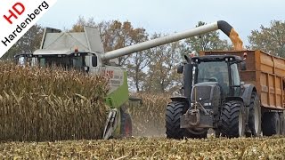 Korrelmais dorsen  Corn Cob Harvest  Claas Lexion 570  Valtra S233  Donkersgoed  Verbeek  NL [upl. by Angeli]