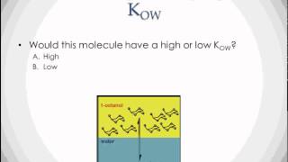 Concept Review Kow [upl. by Aivital41]