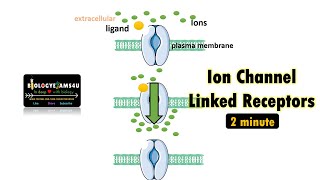 Ion Channel Linked Receptors  Difference between Ligand Gated and Voltage gated Ion channels [upl. by Comstock399]