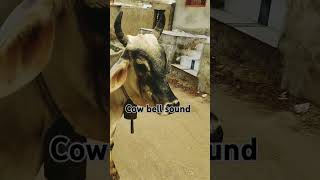 Cow bell sound cowbell cowbelltypebeat cowbellrhythms gae gau [upl. by Harrell382]