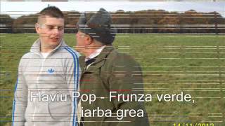 Flaviu Pop  Frunza verde iarba grea cu dedicatie pt Vasi Micle [upl. by Ydissahc]