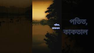 Potito kaaktal banglaband music video shorts random uof [upl. by Aidnis344]