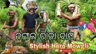 ଜଙ୍ଗଲ ହିରୋ ମୋଗଲି୍  Jangali Comedy  mowgli ki kahani  Anadivlog [upl. by Kalil402]