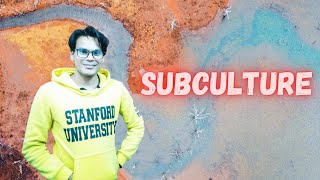 Subculture  Culture  Sociology Lectures  Lectures by Waqas Aziz  Waqas Aziz [upl. by Eerazed]