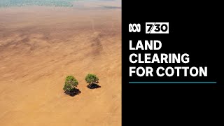 Images suggest land being cleared for cotton farming before permits granted  730 [upl. by Nuahsyar27]