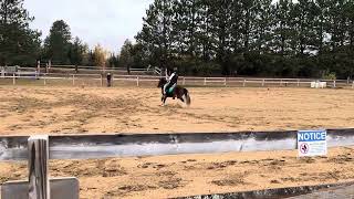 Laurelyn and Kappi Reining Demo 2024 [upl. by Aziza]